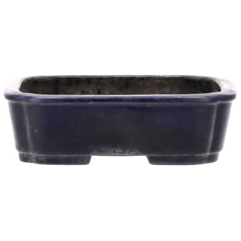 Bonsaischale aus der Töpferei KOYO , aus dem für seine Keramik-Produkte weltberühmten Ort Tokoname.
Die traditionsreichen Töpfereien in Tokoname stellen schon seit Jahrhunderten Schalen für Bonsai her und werden besonders für ihre überragende Ausführung, 
