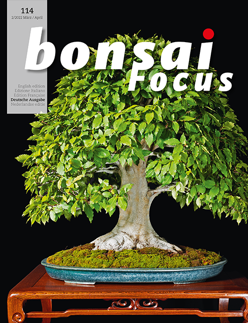 Bonsai-Focus 114 März / April 2022 Bonsai-Focus 2022 (114), Mär/Apr.