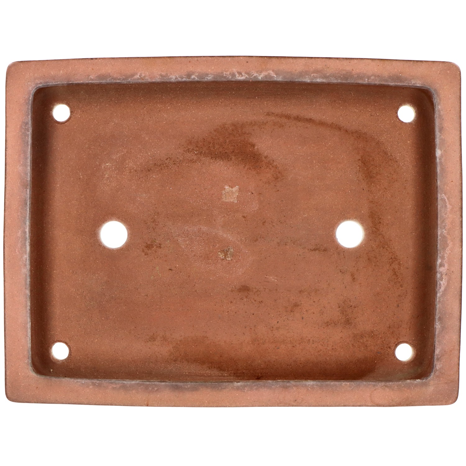 bonsai.fallbackImageTitle