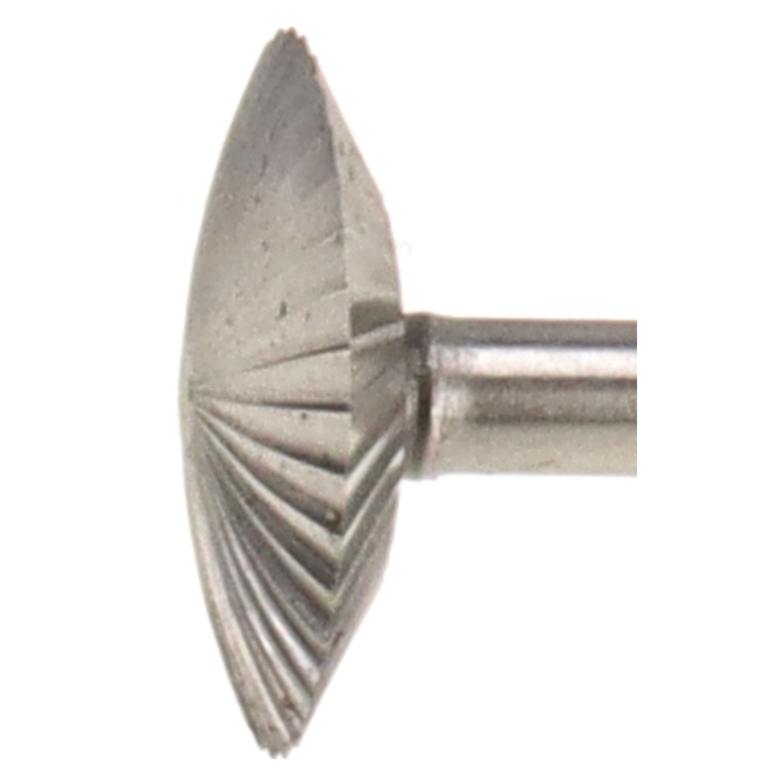 bonsai.fallbackImageTitle bonsai.fallbackImageTitle