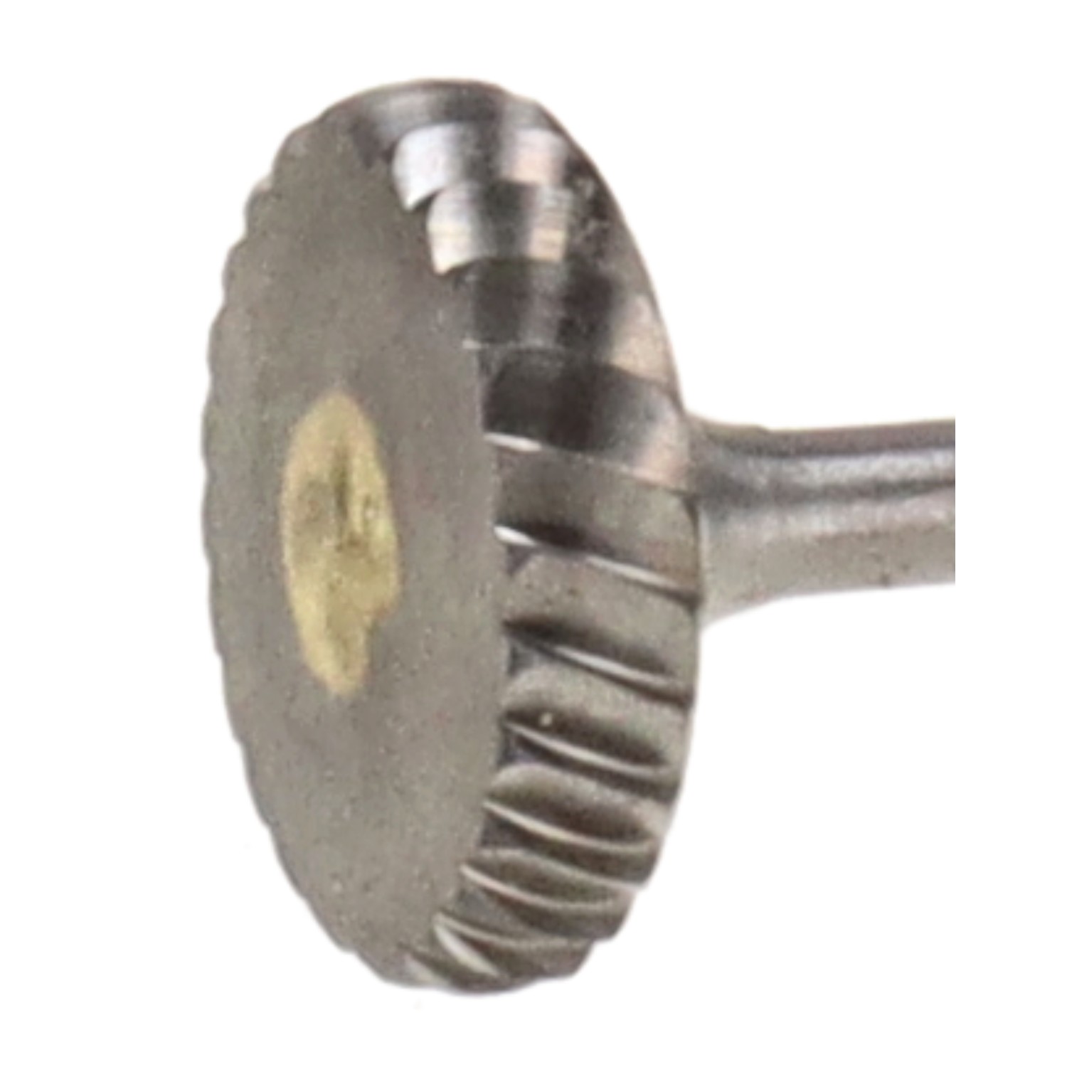 bonsai.fallbackImageTitle bonsai.fallbackImageTitle