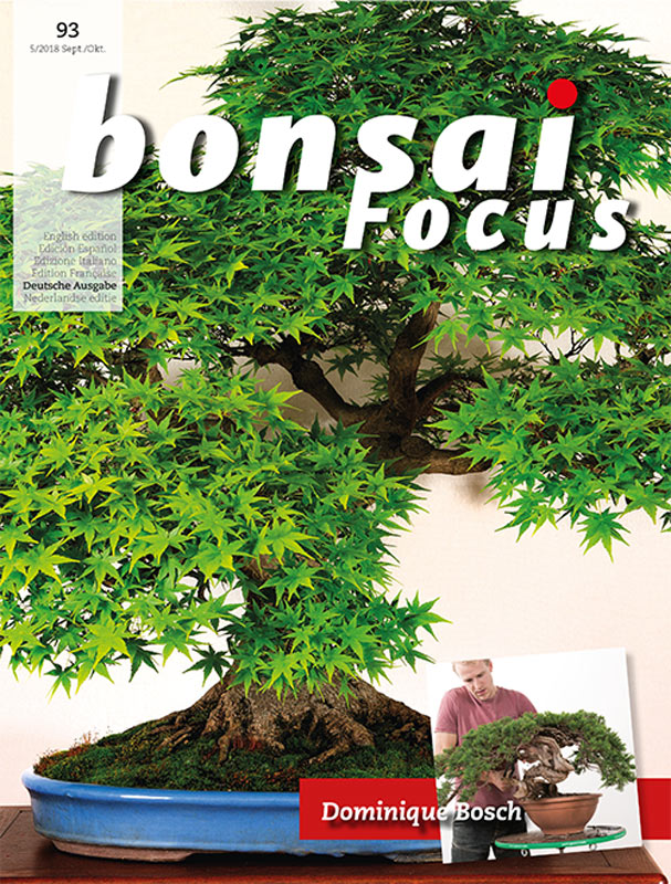 Bonsai-Focus 2018 (93), Sep/Okt. Bonsai-Focus 2018 (93), Sep/Okt.