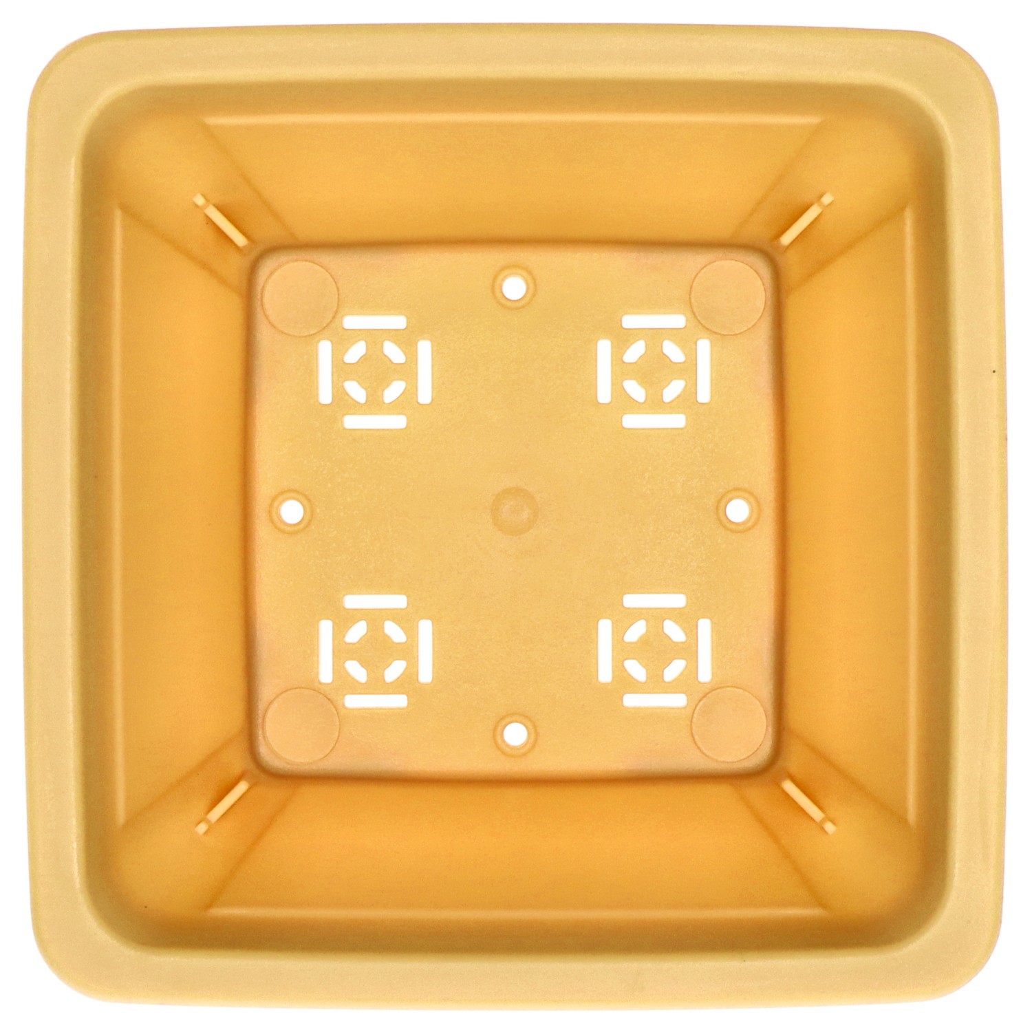 Maceta para bonsái de plástico