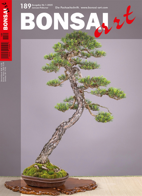 BONSAI ART 2025 (189), Jan/Feb.