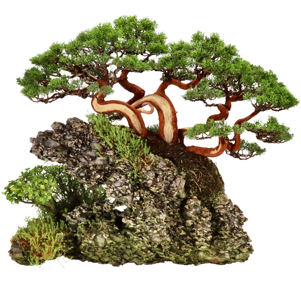 bonsai.fallbackImageTitle
