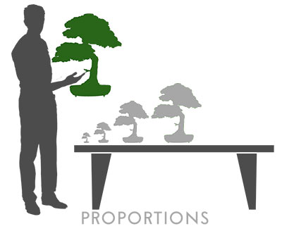 bonsai.fallbackImageTitle bonsai.fallbackImageTitle