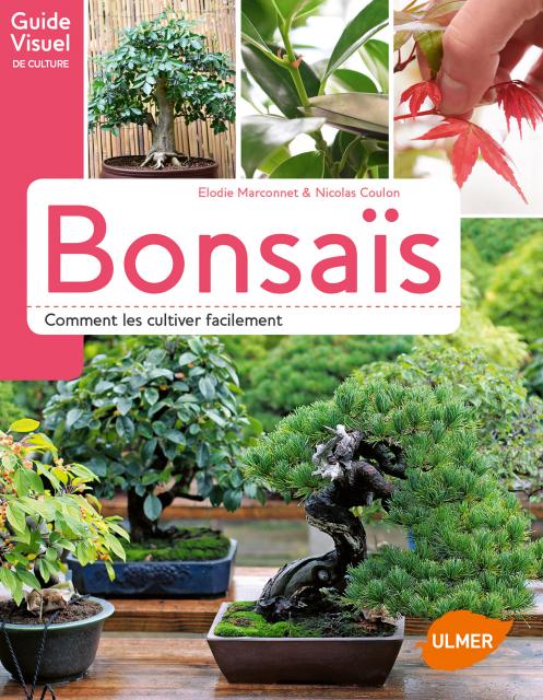 Marconnet, Coulon: Bonsaïs