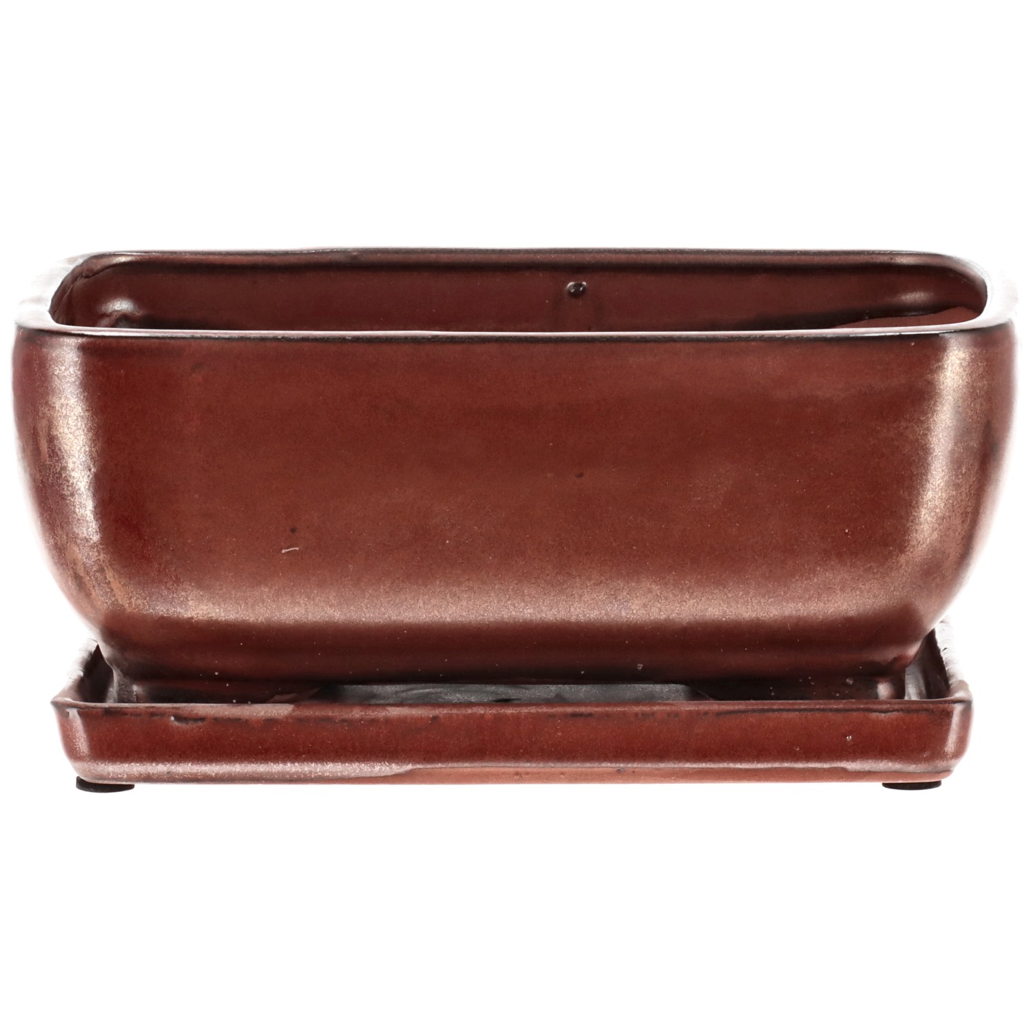 Vaso per bonsai (Set)