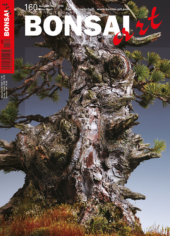 BONSAI ART 160 März/Apr 2020 TITELTHEMA: Bonsai-Frühjahr
Die Mädchen-Kiefer auf unserem Titelfoto wurde von der Familie Abe aus Fukushima aus einem Samenkorn zum Bonsai entwickelt, der auch in der rauhen Bergwelt hätte entstanden sein können. In einem Artikel über diese Kiefern erfah