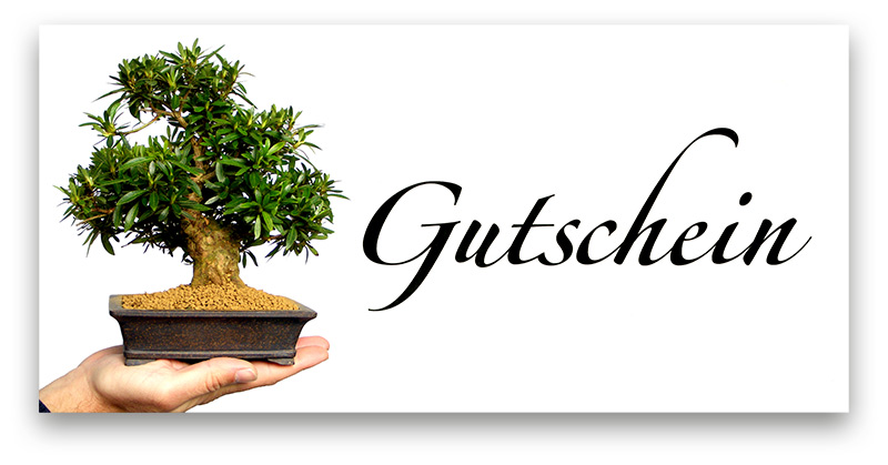 bonsai.fallbackImageTitle bonsai.fallbackImageTitle
