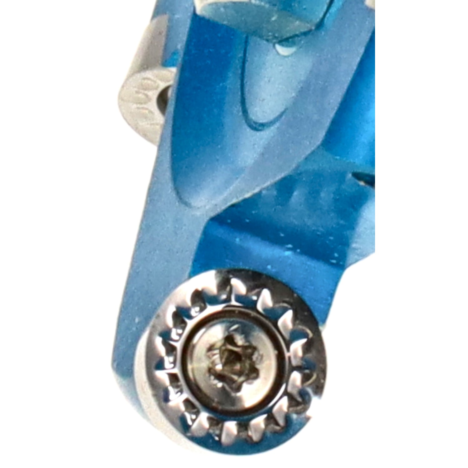 bonsai.fallbackImageTitle bonsai.fallbackImageTitle