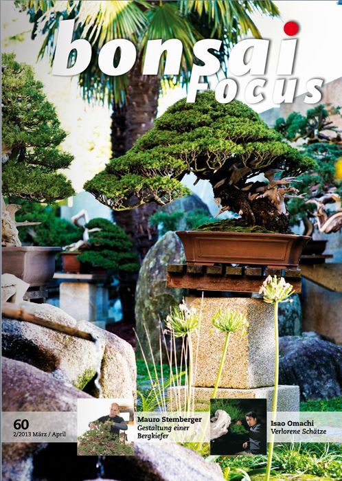 Bonsai-Focus 100 Nov/Dez 2019