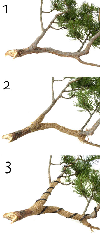 Slider Bild Slider Bild