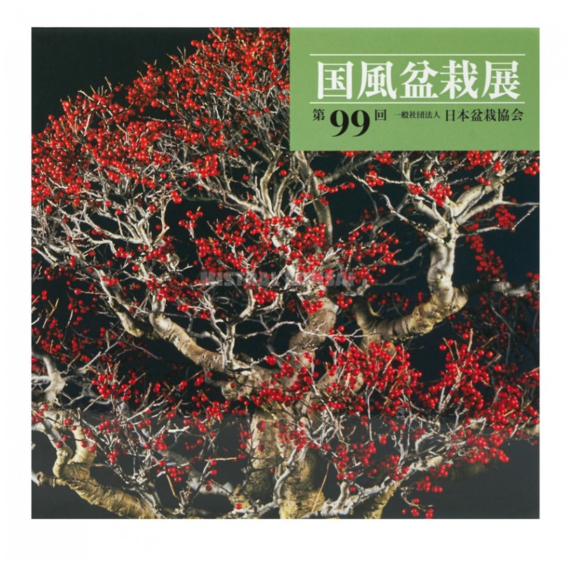 Kokufu Livre illustré n° 99