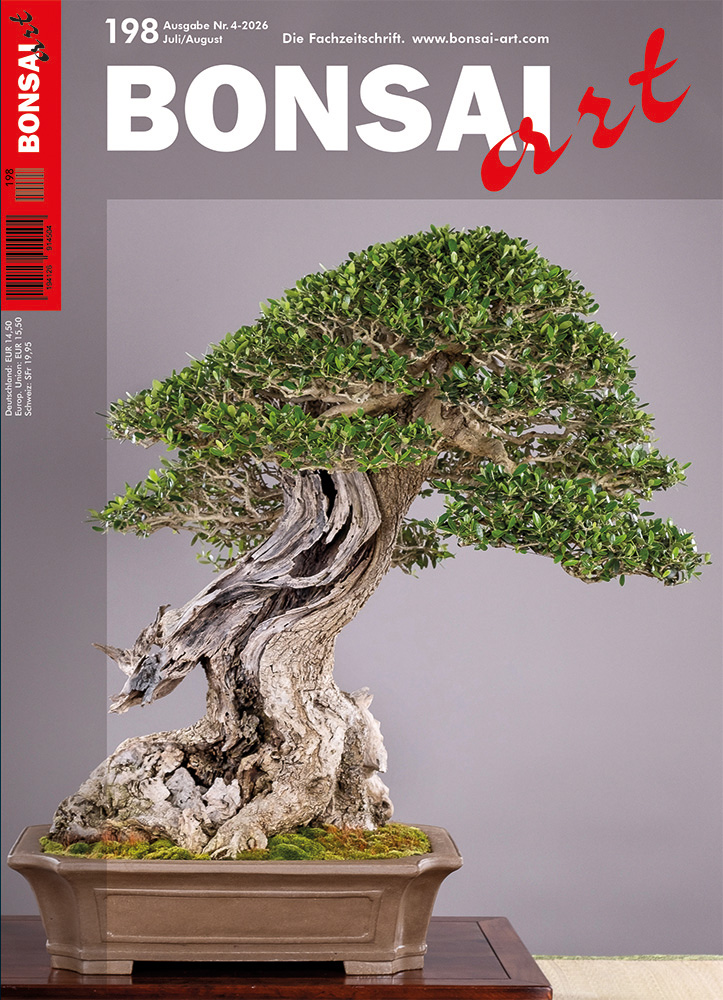 BONSAI ART 2026 (198), Jul./Aug.