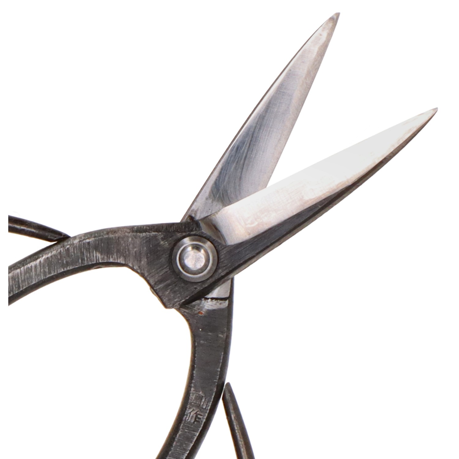 Bonsaischere (180mm), Linkshänder