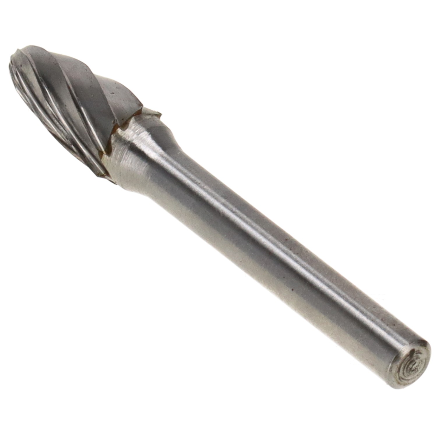 bonsai.fallbackImageTitle bonsai.fallbackImageTitle