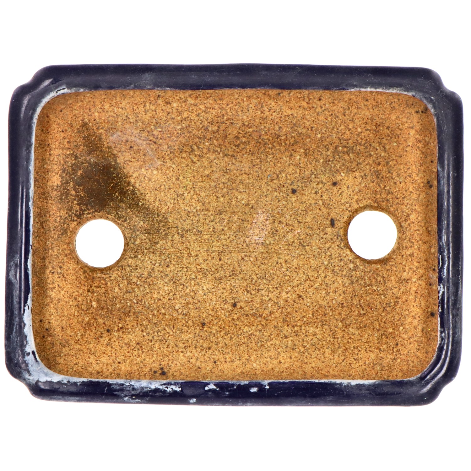 bonsai.fallbackImageTitle