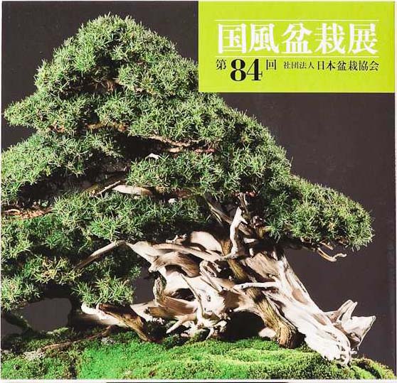 84. Jahrbuch (2010) von der alljährlich in Japan stattfindenden bedeutendsten Bonsai-Austellung. Auf über 280 Seiten zeigen Farbfotos viele schöne ausgezeichnete Bonsai.
 
Hochwertiger Bildband als Hardcover im Schuber, ca. 26 cm x 25 cm

Autor: Nippon Bo