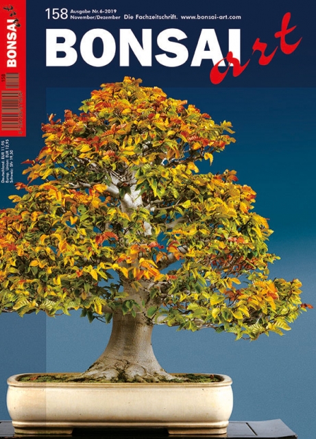 BONSAI ART 158 Nov/Dez 2019 TITELTHEMA: Bonsai-Ausstellungen
In dieser Ausgabe finden Sie Berichte über einige besondere Bonsai-Ausstellungen, die kürzlich in Deutschland und Italien stattgefunden haben. Der 13. Crespi Cup in Parabiago vor den Toren Mailands war eine spektakuläre Ve