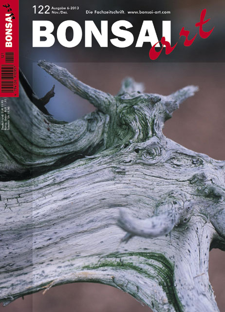 BONSAI ART 2013 (122), Nov/Dez. BONSAI ART 2013 (122), Nov/Dez.