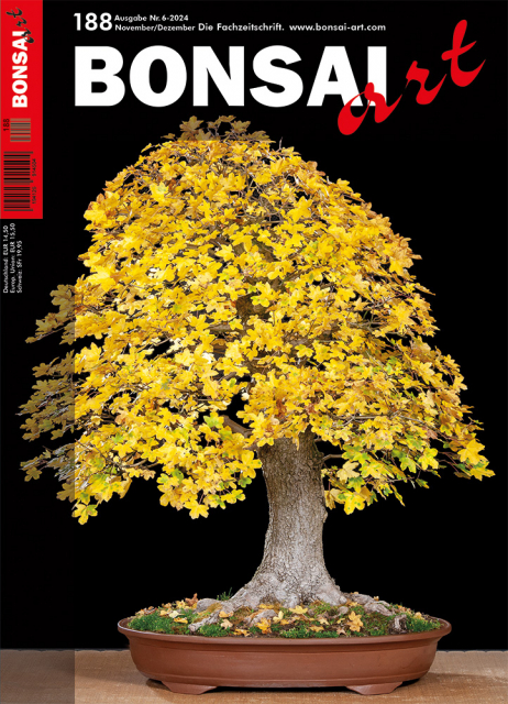 BONSAI ART 2024 (188), Nov/Dez.