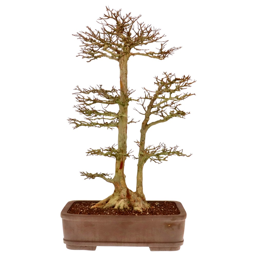 Slider Bild Slider Bild