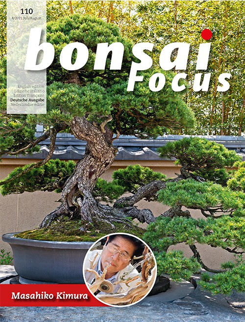 Bonsai-Focus 110 Juli/August 2021 Bonsai-Focus 2021 (110), Juli/Aug.