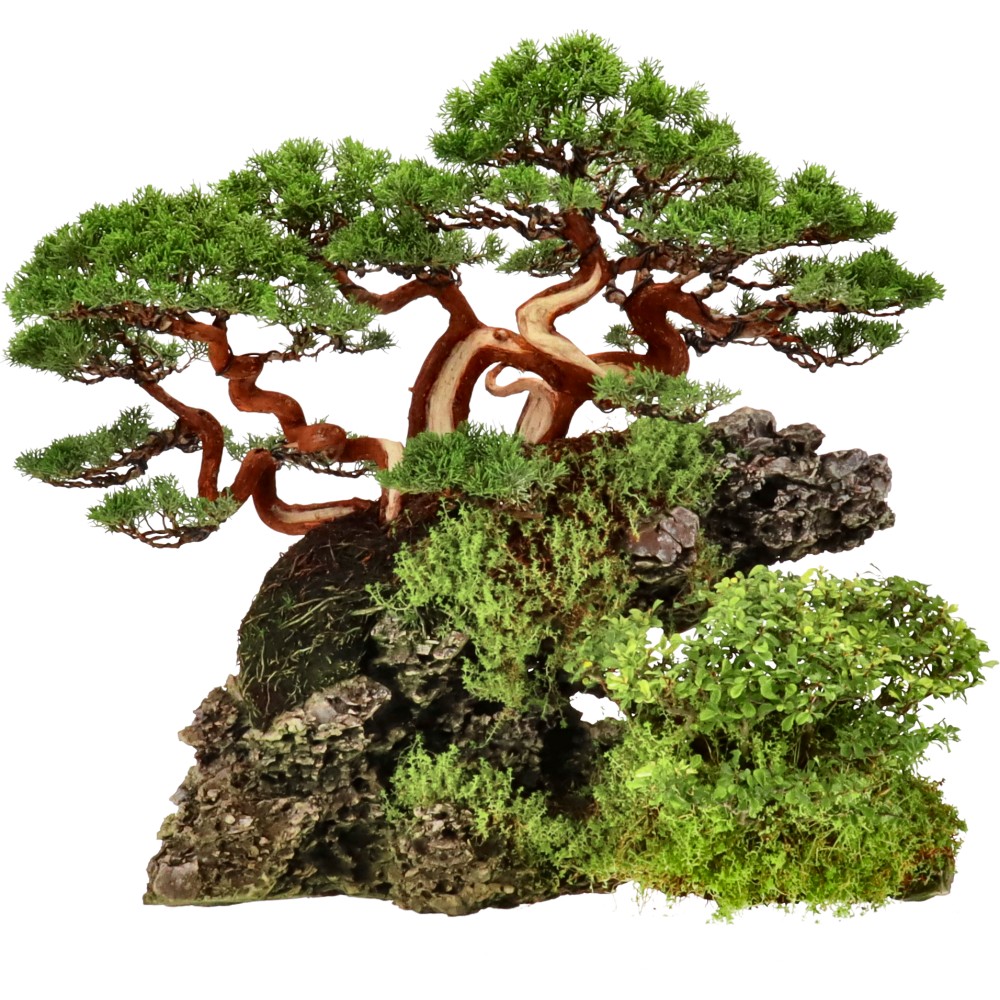 bonsai.fallbackImageTitle