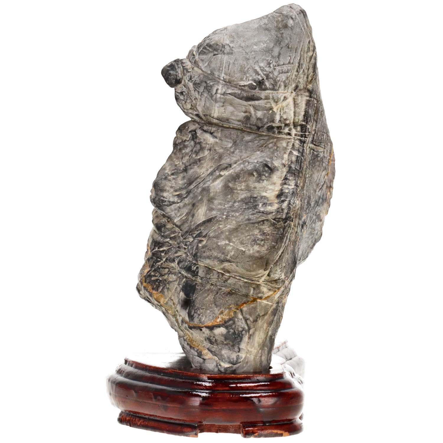 bonsai.fallbackImageTitle