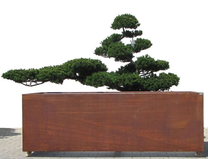 Dieses Pflanzgefäß verleiht jedem Garten etwas Besonderes und fügt sich durch seine natürliche Farbgebung harmonisch in sein Umfeld ein. Es ist unten offen und ermöglicht dadurch eine Verwurzelung der Pflanzen in den vorhandenen Boden, was geringeren Gieß