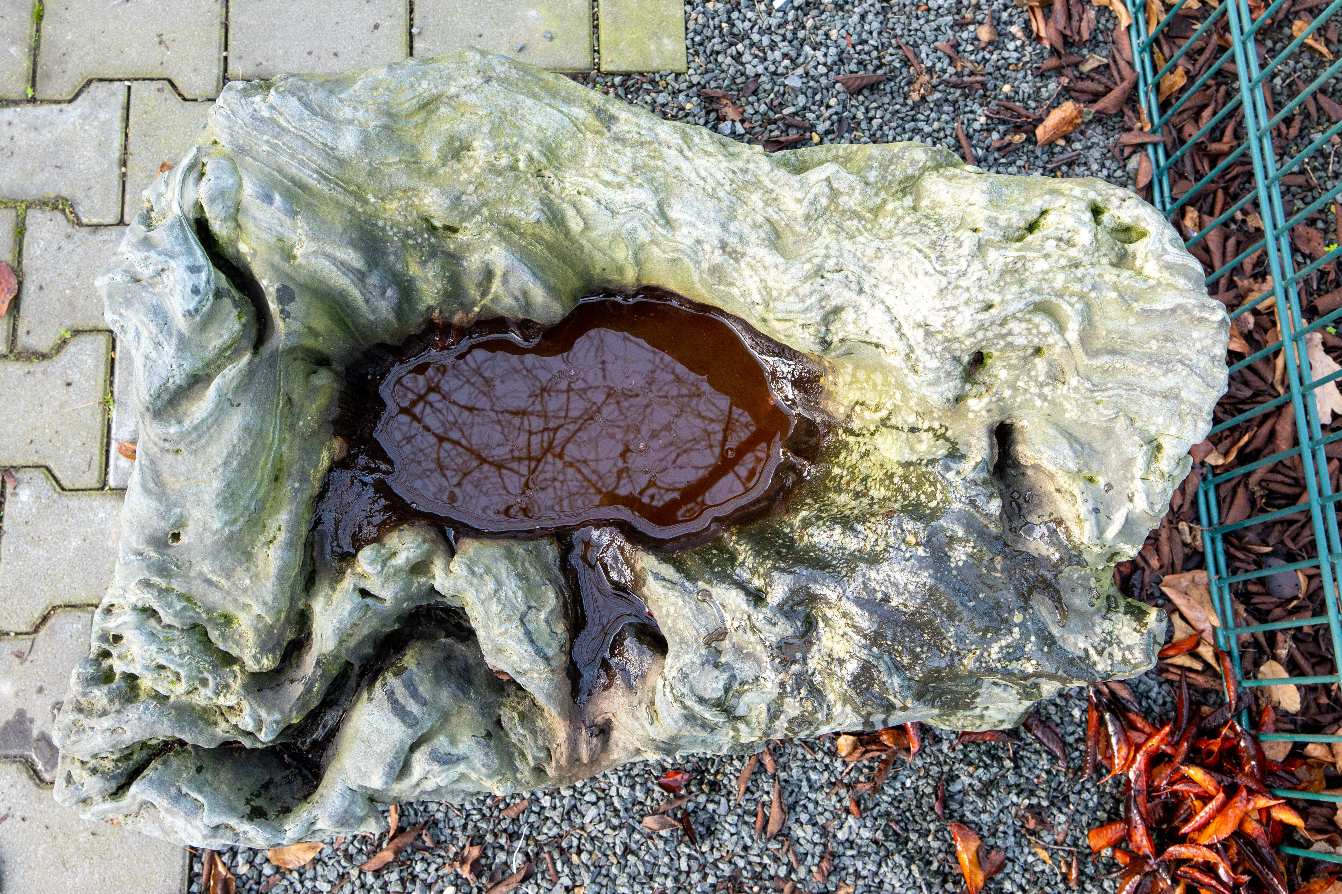 bonsai.fallbackImageTitle