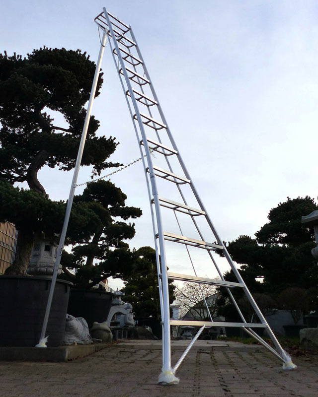 Diese Spezial-Leiter zum Bonsai-Beschnitt aus Japan   ist extrem leicht (ab 4,70 kg), da aus Aluminium, und bis 100 kg belastbar. Auch hervorragend zur Obsternte bzw. zum Beschneiden von Hecken und Gehölzen geeignet.
 
Podest 40x20 cm - viel Ablagefläche 