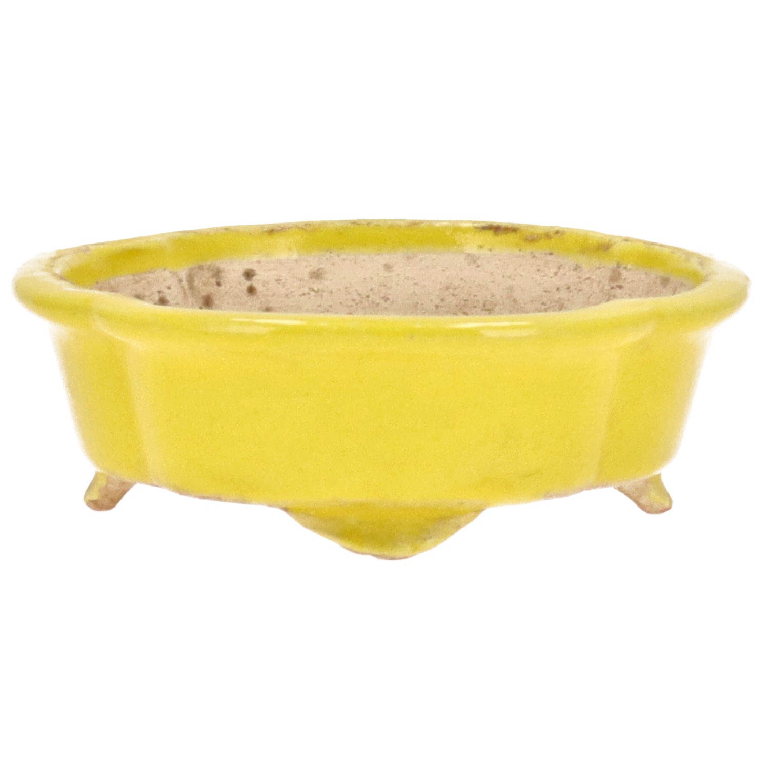 Vaso Tokoname HATTORI