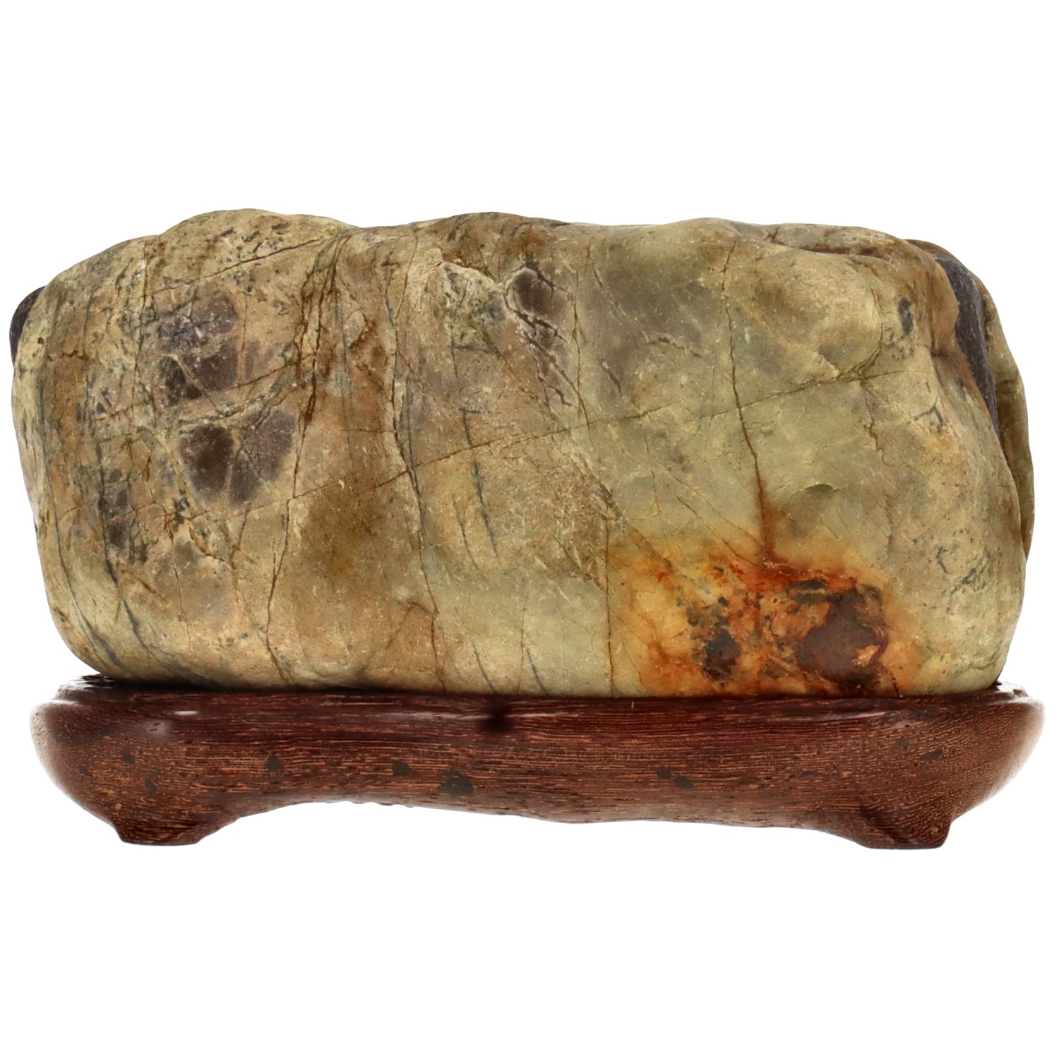 bonsai.fallbackImageTitle