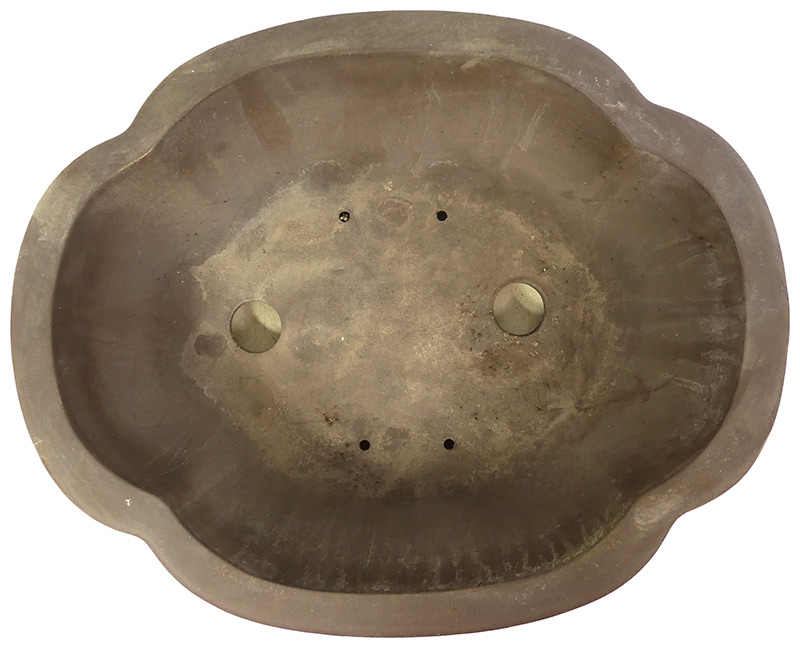 bonsai.fallbackImageTitle bonsai.fallbackImageTitle