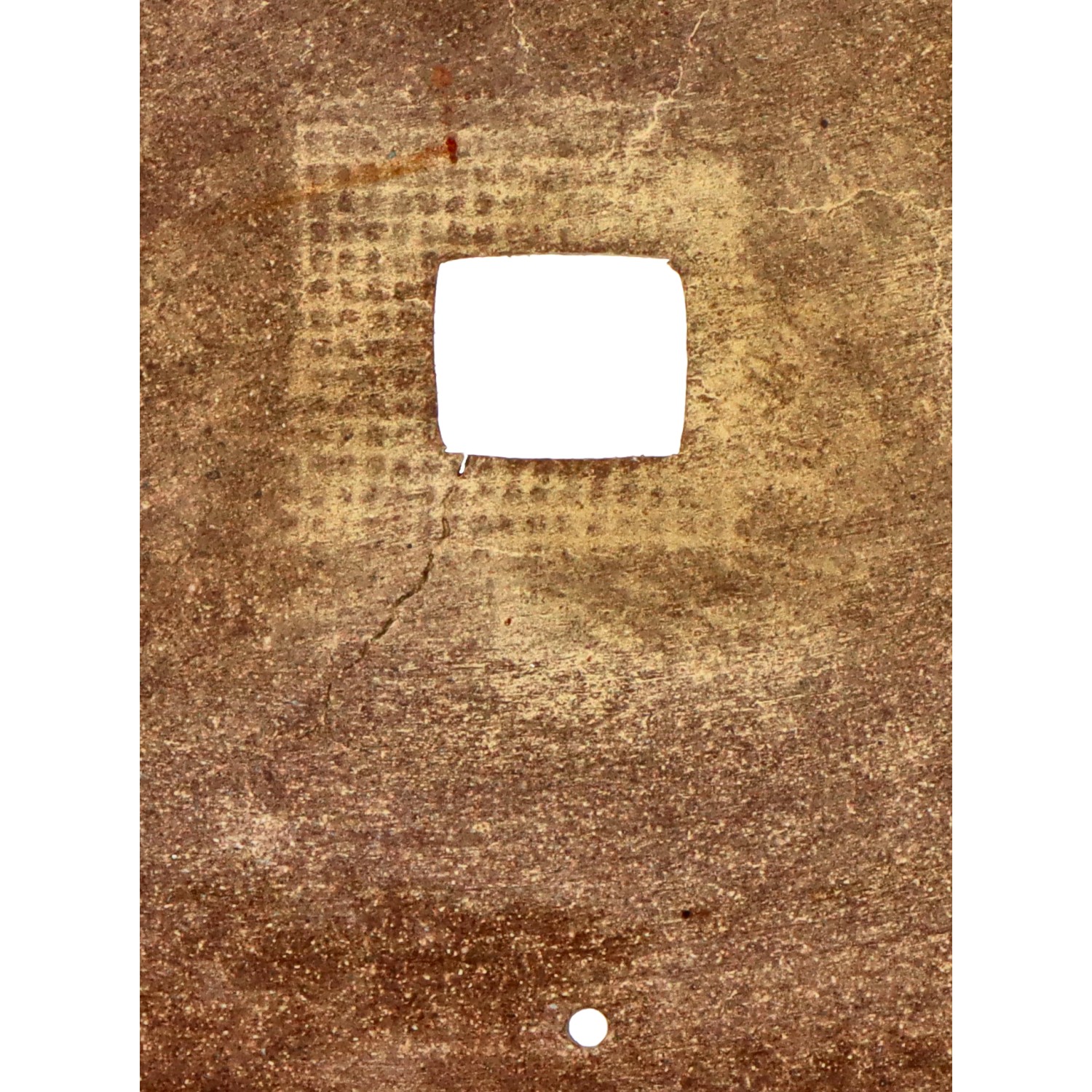 bonsai.fallbackImageTitle