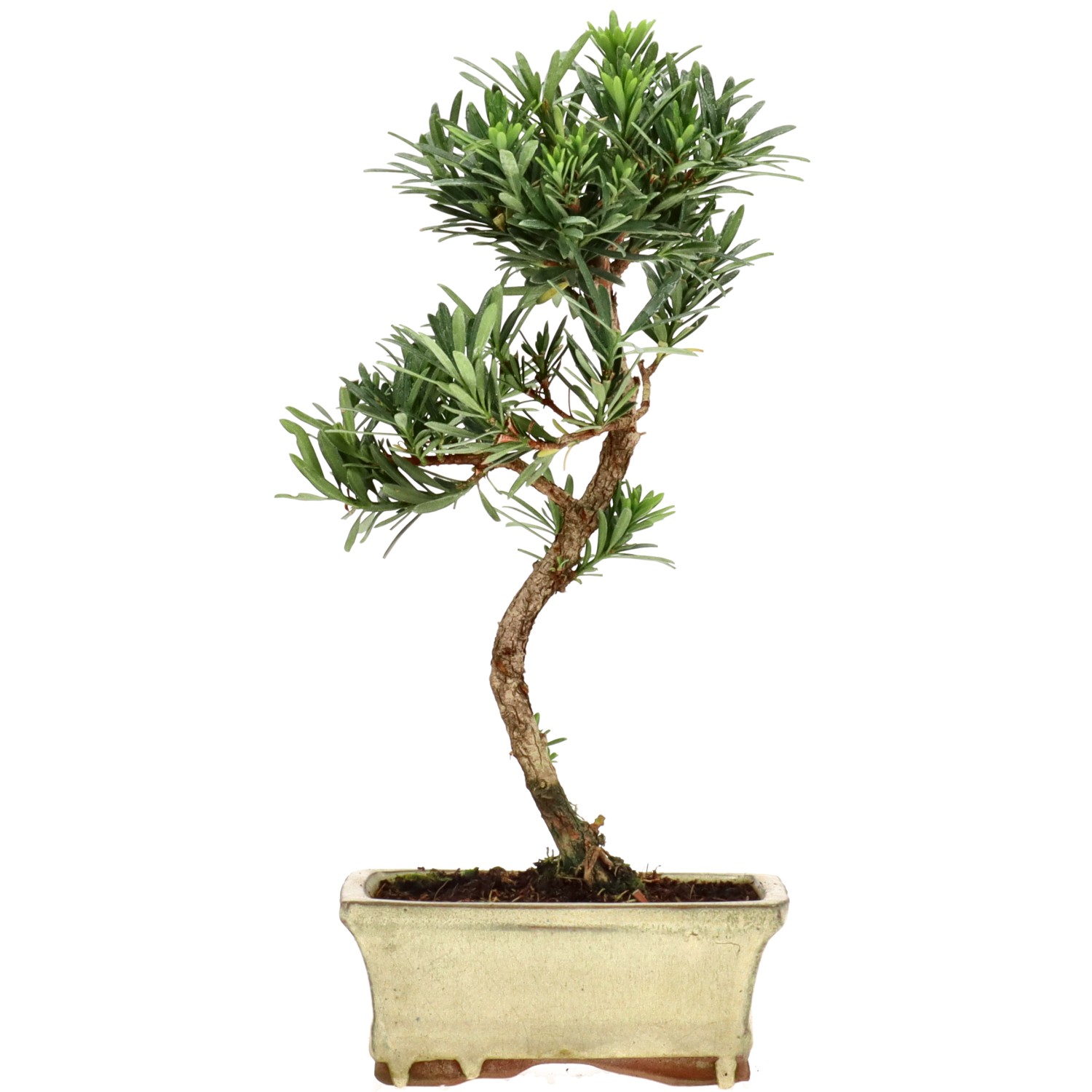 Japanse boeddah-den, ca. 7 j. (27 cm)