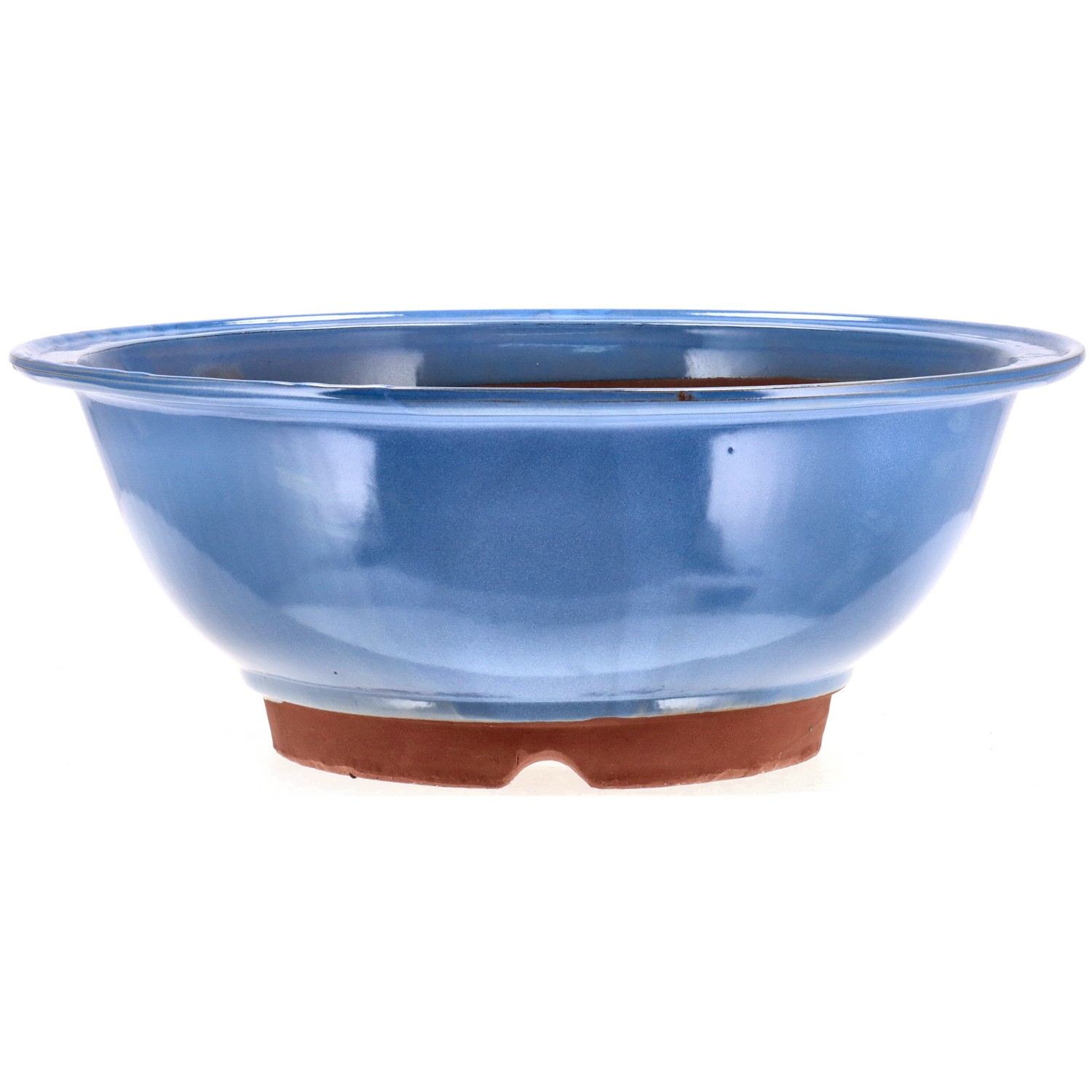 Pot
