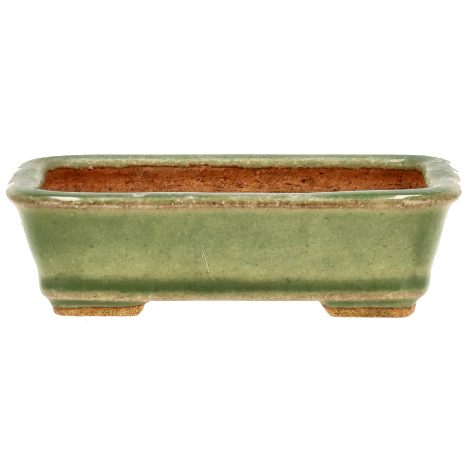 Vaso Tokoname HATTORI