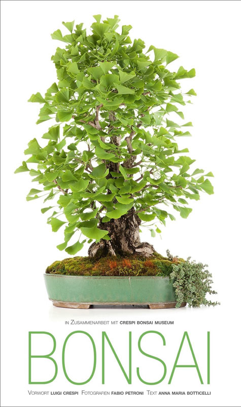 Das Crespi Bonsai Museum bei Mailand ist die Heimat bemerkenswerter Bonsaipflanzen. In grandiosen Groß- und Detailaufnahmen fängt Meisterfotograf Fabio Petroni diese lebenden Kunstwerke im Wechsel der Jahreszeiten ein. Ästhetisch konzentriert zeigt er 30 