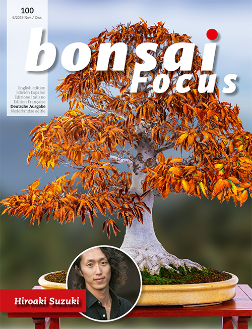 Bonsai-Focus 100 Nov/Dez 2019 Bonsai-Focus 2019 (100), Nov/Dez.