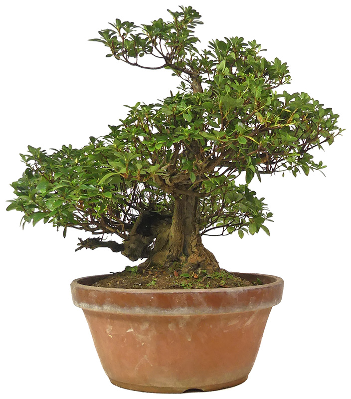 Slider Bild Slider Bild