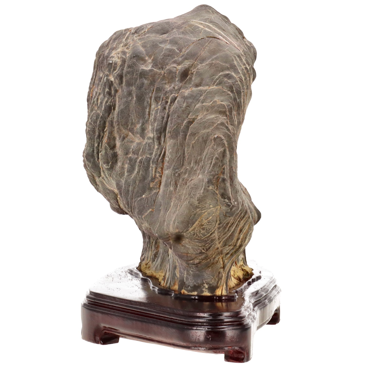 bonsai.fallbackImageTitle