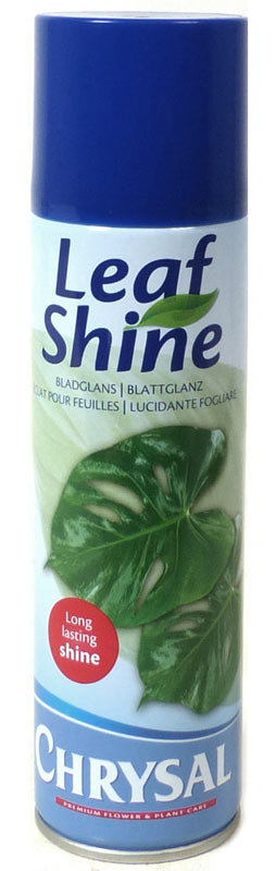 Leaf Shine Blattglanz-Spray (250 ml) Chrysal Leafshine sorgt für sofortigen natürlichen Glanz auf Blättern. Es beseitigt Wasserflecken und Kalkablagerungen und umhüllt die Blätter mit einer glänzenden Schutzschicht, die Staub fernhält. Schnell trocknend.
Inhalt: 250 ml
