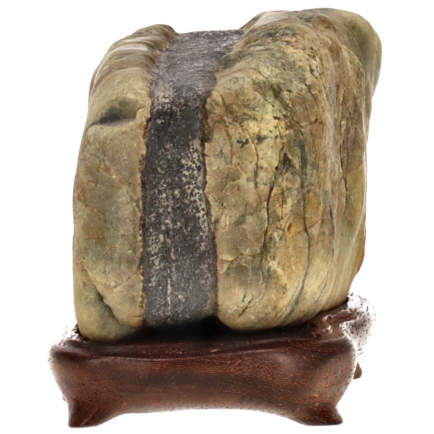 bonsai.fallbackImageTitle