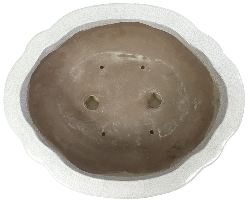 bonsai.fallbackImageTitle