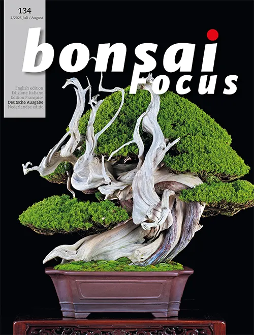 Bonsai-Focus 2025 (134), Jul/Aug. Bonsai-Focus 2025 (134), Jul/Aug.