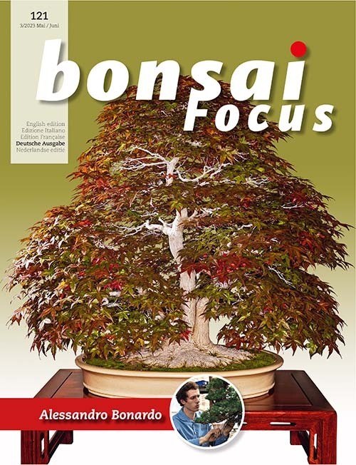 Bonsai-Focus 121 Mai/Juni 2023 Bonsai-Focus 2023 (121), Mai/Juni