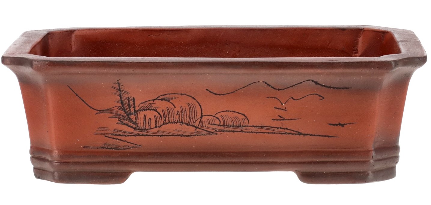 Pot  Pot